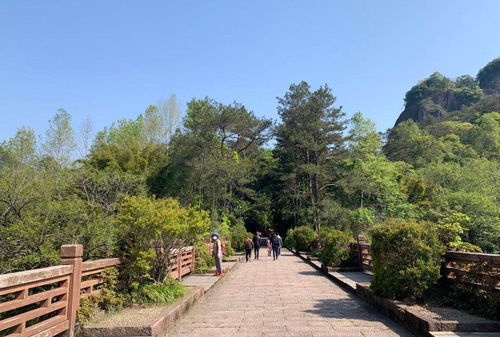 武夷山恢復(fù)開放，全國醫(yī)護(hù)人員免費游覽，多項優(yōu)惠政策助力旅游業(yè)復(fù)蘇