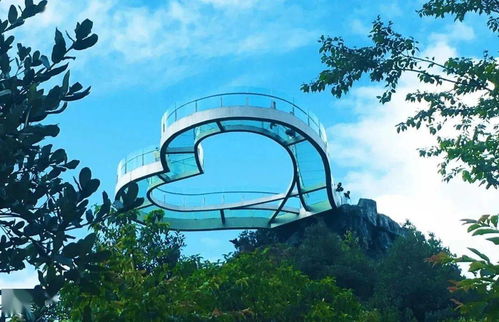 端午假期百里杜鵑游覽須知及攻略 旅行社服務(wù)網(wǎng)點旅游招徠指南