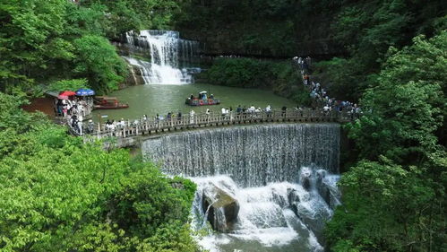 “水”力全開，優化游覽景區管理